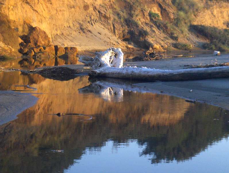 Nesika Beach learning to live